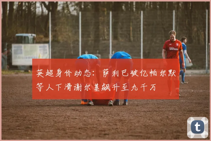 英超身价动态：萨利巴破亿帕尔默等人下滑谢尔基飙升至九千万