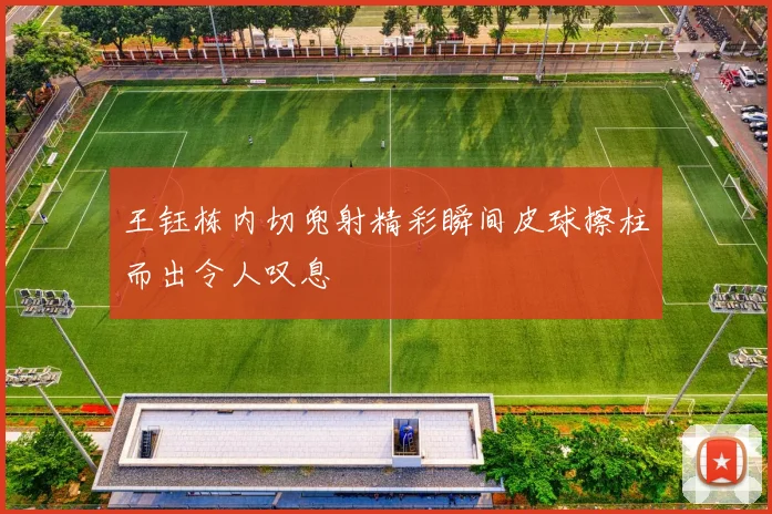 王钰栋内切兜射精彩瞬间皮球擦柱而出令人叹息