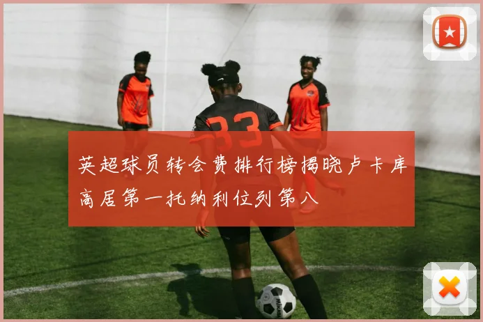 英超球员转会费排行榜揭晓卢卡库高居第一托纳利位列第八