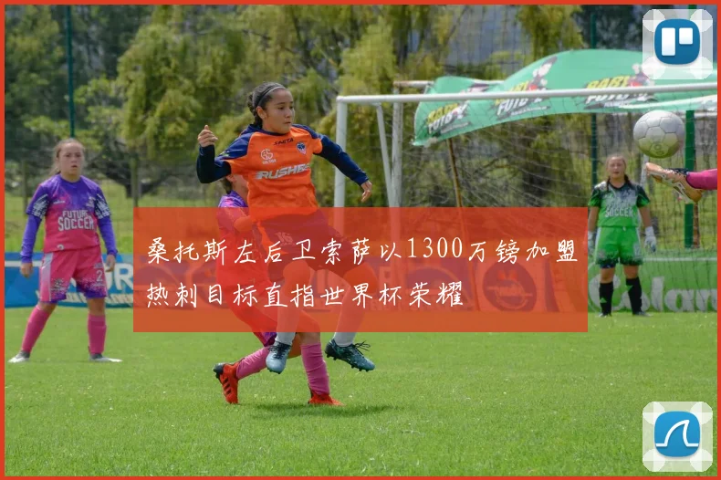 桑托斯左后卫索萨以1300万镑加盟热刺目标直指世界杯荣耀